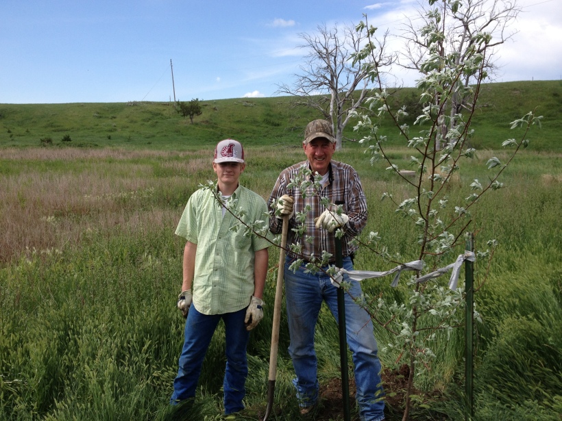 Luke and Dad planting Russian Olive trees. 