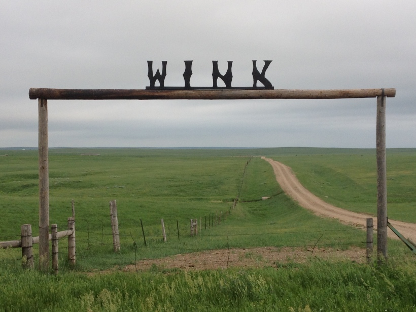 Wink Cattle Co.