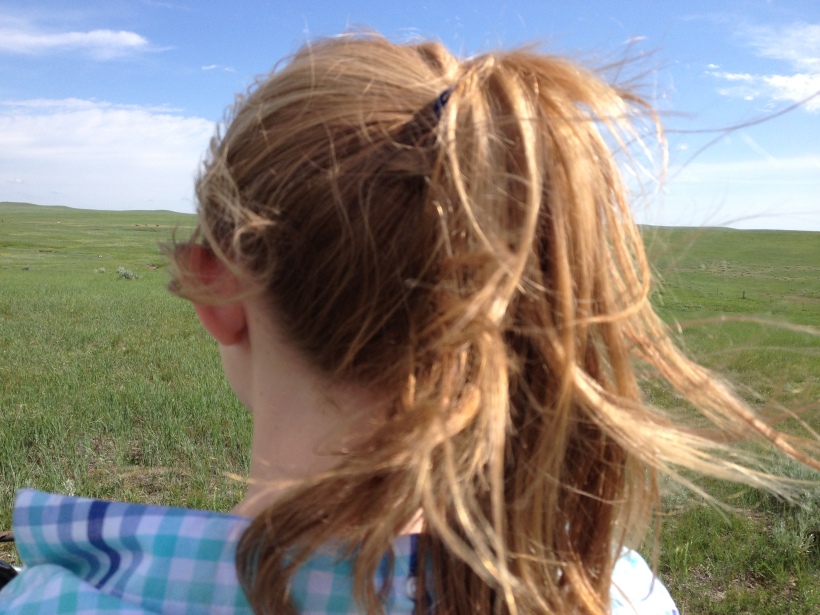 Wynn's pony tail. My view, as Wynn drove us back to the ranch house on the four-wheeler.